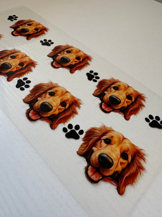 Golden retriever dog Uv Dtf Wrap